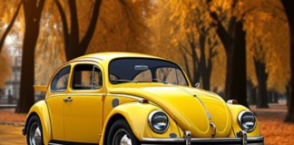 Особливості технічного обслуговування автомобілів Volkswagen Запчастини до vw