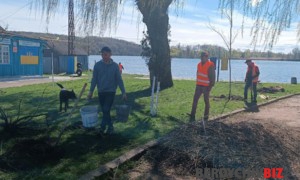 Висадили дерева на пляжі