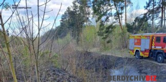У Бердичівському районі ліквідували пожежу біля села Пожежа