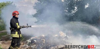 Пожежа на сміттєзвалищі в Бердичеві: рятувальники ДСНС оперативно загасили тління Спалювання сміття