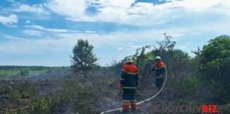 ДСНС: у Бердичівському районі багато випадків пожеж в екосистемах Пожежа у Бердичівському районі