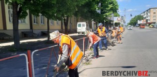 У Бердичівкомунсервіс розповіли де це краще завтра не робити У Бердичівській громаді стартує місячник благоустрою та санітарії