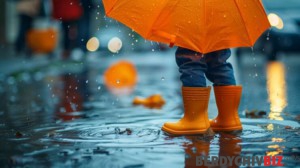 У Бердичеві очікується дощ 
