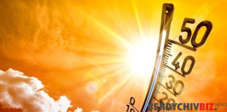 Погода у Бердичеві на вихідних: +21…+26°C. Погода у Бердичеві