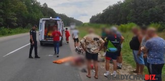 Бердичівський суд ухвалив вирок водієві автобуса за смертельну ДТП Унаслідок ДТП біля Бердичева загинув велосипедист