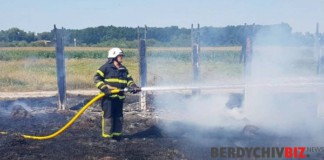 Пожежі на Бердичівщині: рятувальники ліквідували 8 займання сухої трави Рятувальники ліквідували 8 займання сухої трави