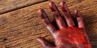 Довічне за жорстоке вбивство рідної матері Вирок за умисне вбивство у Бердичеві