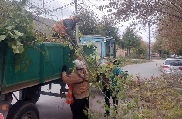 Видалення та вивіз аварійного гілля на вулиці Здоров'я