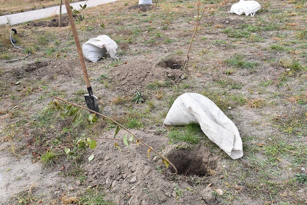 Активістки зібралися в місті Бердичеві
