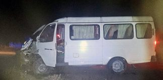 На Бердичівщині поліція з’ясовує обставини аварії за участю мотоблока На Бердичівщині поліція з’ясовує обставини аварії