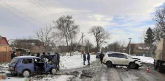 До 8 років позбавлення волі засуджено водія за смертельну ДТП у Бердичівському районі До 8 років позбавлення волі засуджено водія