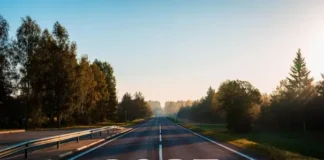 Перехрестя долі: як рік Зеленої Змії змінить життя всіх знаків зодіаку Як рік Зеленої Змії змінить життя всіх знаків зодіаку