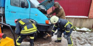 У Бердичеві собака застрягла у моторному відсіку У Бердичеві собака застрягла у моторному відсіку