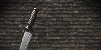 Родинні розбірки по-бердичівськи: дядько з ножем може змінити шашлики на нари Родинні розбірки по-бердичівськи