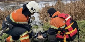 Бердичівщина: трагічний випадок на ставку, рятувальники дістали тіло чоловіка Трагічний випадок на ставку