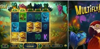 Огляд слота Multifly (Yggdrasil) Огляд слота Multifly (Yggdrasil)