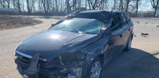 Бердичівлянин постраждав у ДТП: на Вінниччині протараніла вантажівка Постраждав у ДТП