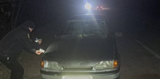 ДТП у Бердичівському районі: поліція з’ясовує обставини наїзду на пішохода ДТП у Бердичівському районі