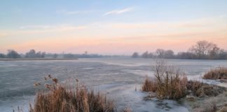 Погода на тиждень у Бердичеві: від сильного морозу до відлиги та мокрого снігу До 12 градусів морозу вночі у Бердичеві: прогноз синоптиків