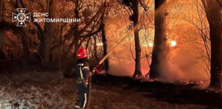 Рятувальники Бердичівщини ліквідували 16 загорянь за добу Рятувальники Бердичівщини ліквідували 16 загорянь за добу