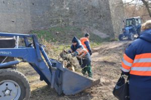 У Бердичеві до місячника благоустрою долучилися