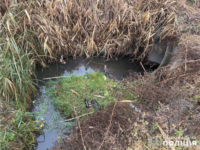 У Бердичеві розслідують можливий екологічний злочин