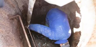 Важливе повідомлення від Бердичівводоканалу для мешканців вул. Європейської! Бердичівводоканал