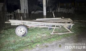 Смертельна трагедія: уночі коні з возом понесли та врізалися у стовб