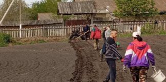 Гришковецька громада об’єдналася в операції “Спільний город” Гришковецька громада об’єдналася в операції "Спільний город"