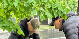 У Бердичеві вшанували Героїв України: символічні таблички на Бульварі імені В.Лонського Богдан Коляда вішає табличку