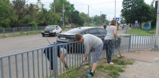 Гришковецька громада разом за чистоту і затишок Гришковецька громада разом за чистоту і затишок