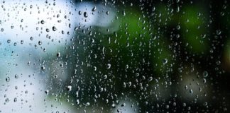 Прогноз погоди у Бердичеві на робочий тиждень: від весняного тепла до різкого похолодання Погода у Бердичеві 2026