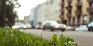 МКП «Бердичівкомунсервіс» просить водіїв прибрати автомобілі з вул. Європейської МКП «Бердичівкомунсервіс» просить водіїв прибрати автомобілі з вул. Європейської