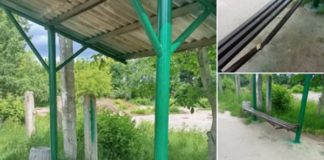 У Бердичеві мавпи з цирку влаштували безлад? У Бердичеві мавпи з цирку влаштували безлад