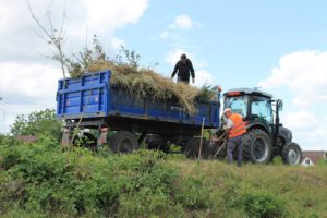 Ірена Лісова: Гришковецька громада продовжує благоустрій