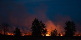 Бердичів: уночі палало міське сміттєзвалище Бердичів: уночі палало міське сміттєзвалище