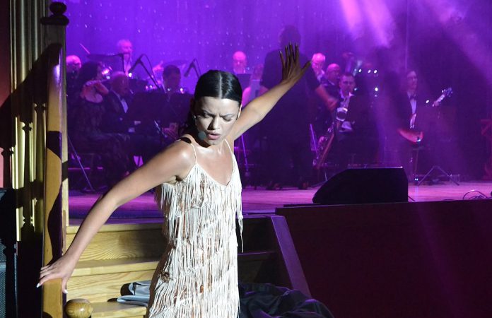 У Бердичеві відбулося грандіозне музично-театральне ревю «One world, one music»