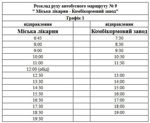 Бердичів, графік руху маршруток