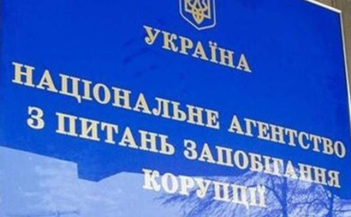 НАЗК перевіряє декларацію Катерини Курсон, депутатки Бердичівської райради