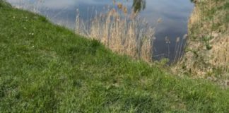 У Бердичеві виставили на аукціон 3 земельні ділянки У Бердичеві виставили на аукціон 3 земельні ділянки