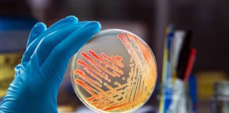 Ротавірус у дітей 2025: симптоми, лікування, вакцинація в Україні