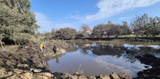 Вибух у Бердичеві: ракета залишила огромну вирву в струмку Вибух у Бердичеві: ракета залишила огромну вирву в струмку