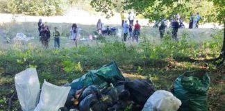 Школярі Мирославського ліцею взяли активну участь у Всесвітньому дні прибирання Всесвітній день прибирання 2025: Учні Мирославського ліцею очистили лісосмугу
