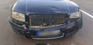 У Бердичеві водійка Audi постане перед судом за поранення іншої У Бердичеві водійка Audi постане перед судом за поранення іншої