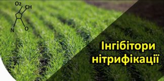 Інгібітори нітрифікації (NBPT, DCD, DMPP): коли дають економію Інгібітори нітрифікації (NBPT, DCD, DMPP)
