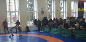 Кубок Житомирщини з вільної боротьби 2025