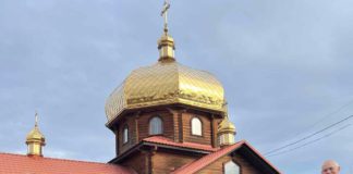 Сад Надії в Бердичеві: персикові дерева стали символом зцілення та віри у Перемогу