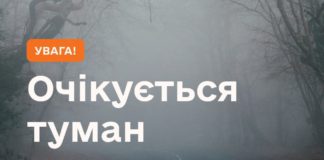 Густий туман паралізує Україну: ДСНС оголосив жовтий рівень небезпеки на 2 грудня 2025 Вночі та вранці 29 листопада туман