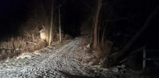 Трагічний інцидент: ревнощі призвели до вибуху, підозрюваного взято під варту Підірвав через ревнощі