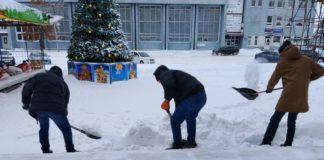 Колектив Палацу культури та театру в Бердичеві власним силами розчищає сніг після рясних опадів Прибирають сніг